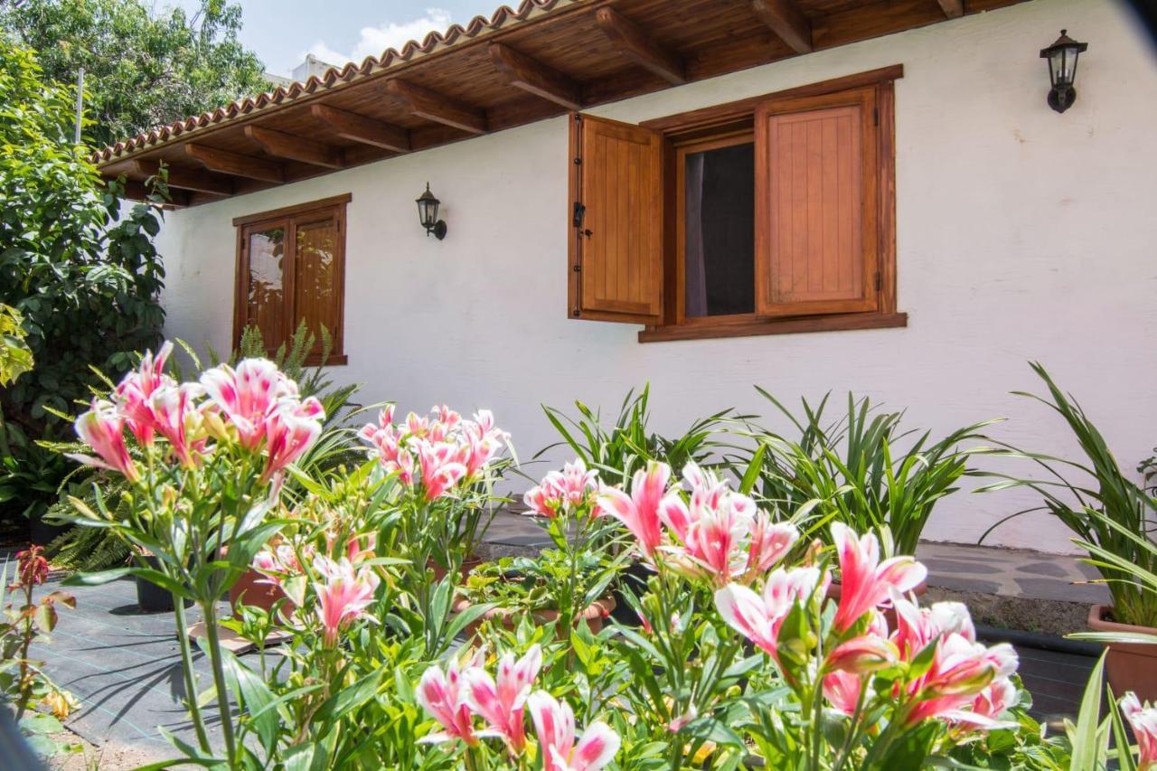 Cozy House Casa Vero Mai Icod De Los Vinos Exteriér fotografie